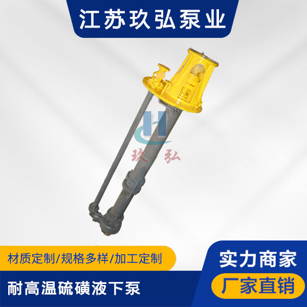 LHY耐高溫硫磺(huáng)液下泵(圖1) LHY耐高溫硫磺液下泵(圖1)