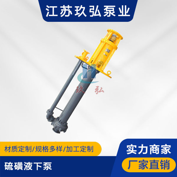 LHY型硫磺液下泵(圖1) LHY型(xíng)硫磺液下泵(圖1)