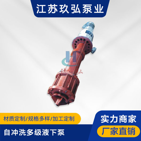 DLY自衝洗多級液下泵(圖(tú)1) DLY自衝洗多級(jí)液下(xià)泵(圖1)