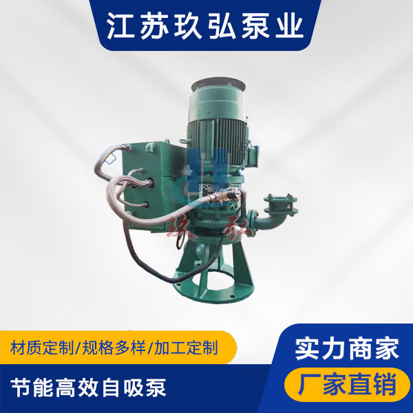 GLB高效節能自控自吸泵(圖1) GLB高(gāo)效節能(néng)自控自吸泵(圖1)