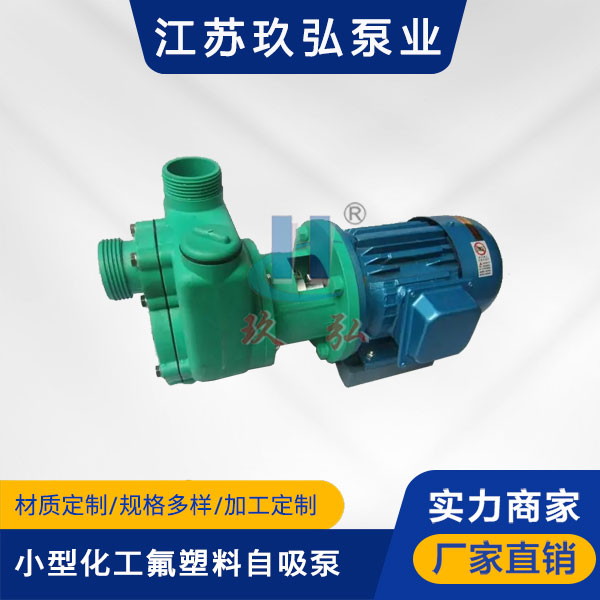 102小型化工氟塑料自吸泵(圖1) 102小型化工氟塑料自吸泵(圖1)