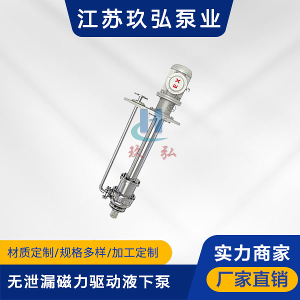 HYC無泄漏磁力驅動液下泵(圖1) HYC無泄漏磁力驅動液下泵(圖1)