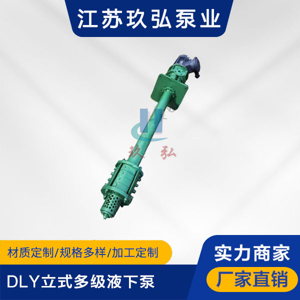 DLY立式多級液下泵(圖1) DLY立式多(duō)級液下泵(圖1)