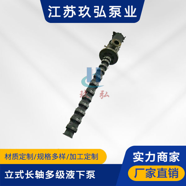 HLC立式長軸（zhóu）多級液下泵(圖1)