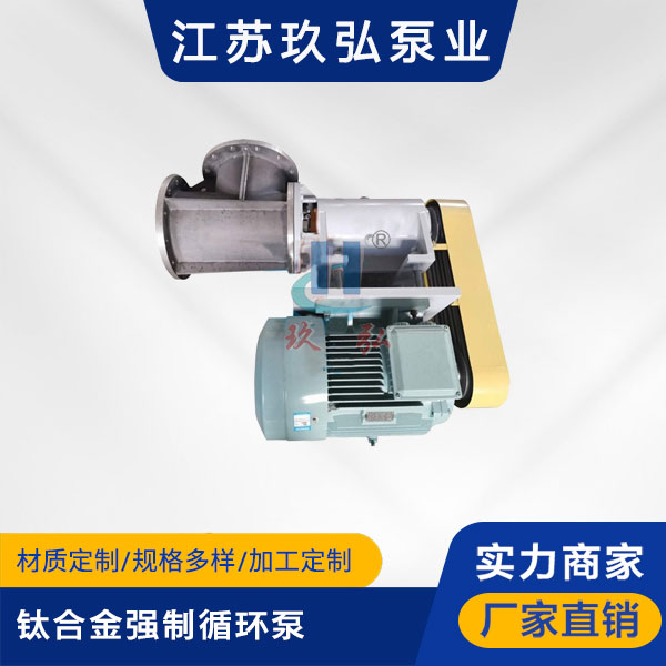 FJX-Ⅱ型鈦合金強製循環泵(圖(tú)1) FJX-Ⅱ型鈦合金強製循(xún)環泵(圖1)