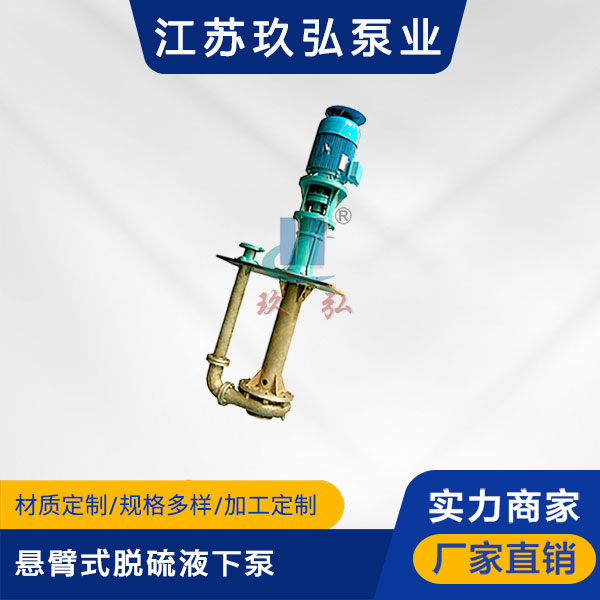 PLC懸臂式脫硫液下泵(圖1) PLC懸臂式脫硫液下泵(圖1)