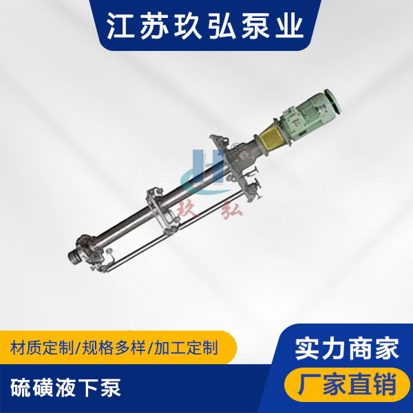 LHY硫磺液下泵【液硫(liú)泵】(圖(tú)1) LHY硫磺液下泵【液硫泵】(圖1)