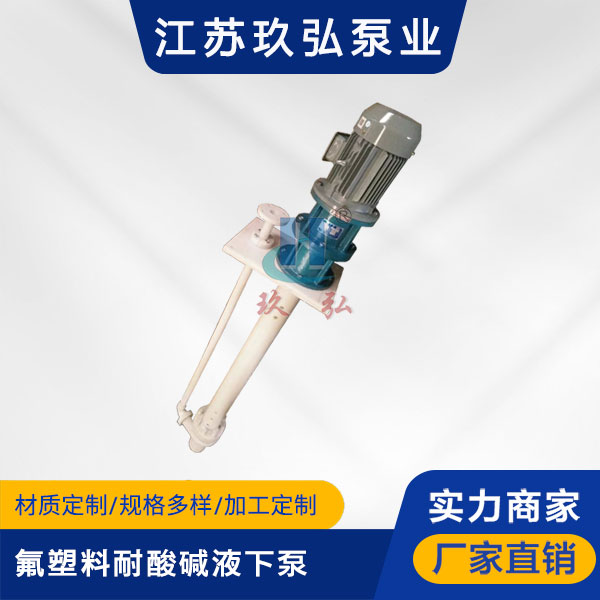 FYS-II氟(fú)塑料耐酸(suān)堿液下泵(圖1) FYS-II氟塑料耐酸堿液下泵(圖1)