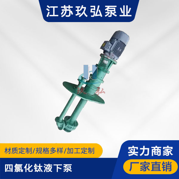 HYT四氯化鈦液下泵（機械密封）(圖1)