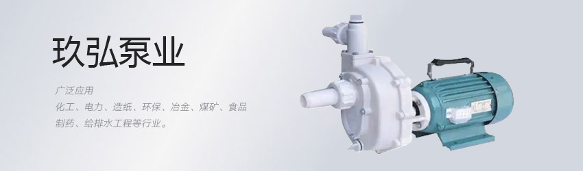 高效自吸泵