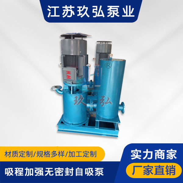 WFB吸程加強型自控自吸（xī）泵(圖1)