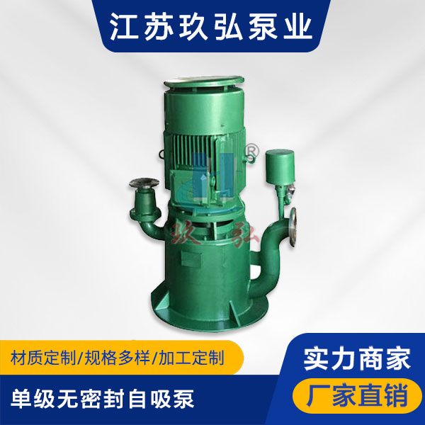WFB單級無密封自控自吸泵(圖1)