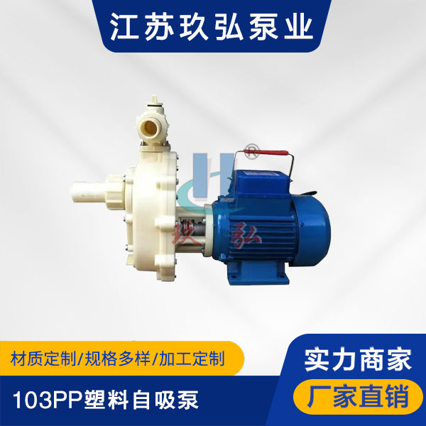 103PP塑料自吸泵(圖1)