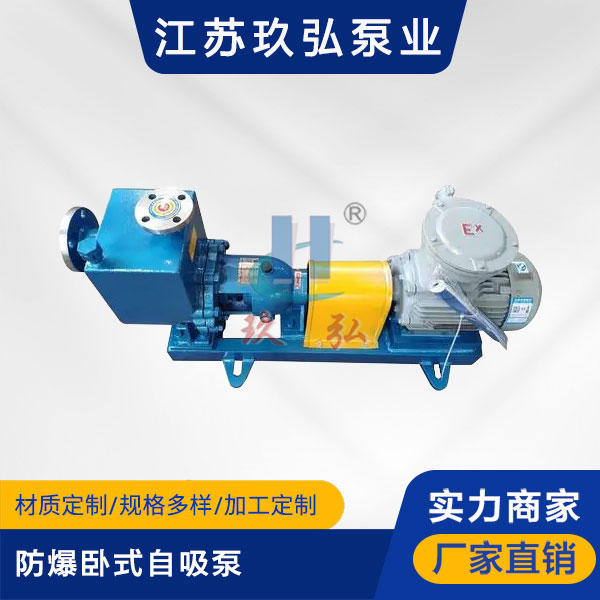 ZXB防爆臥（wò）式自吸泵(圖1)