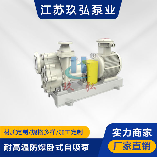 FZB耐高溫防爆臥式自吸（xī）泵(圖1)