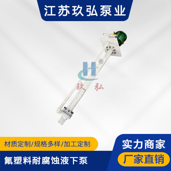 FYS氟塑料耐腐(fǔ)蝕液下泵(圖1) FYS氟塑料耐腐蝕液下泵(圖1)